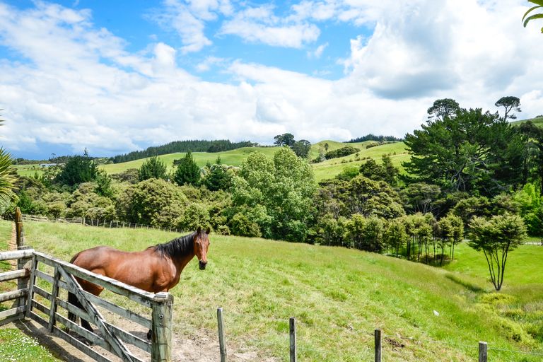 Photo of property in 87 Zanders Road, Helensville, Waimauku, 0882