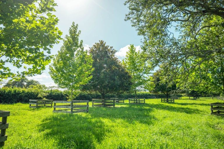 Photo of property in 662 Tauwhare Road, Matangi, Hamilton, 3287