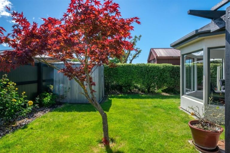 Photo of property in 12a Pitchill Street, Mayfield, Blenheim, 7201