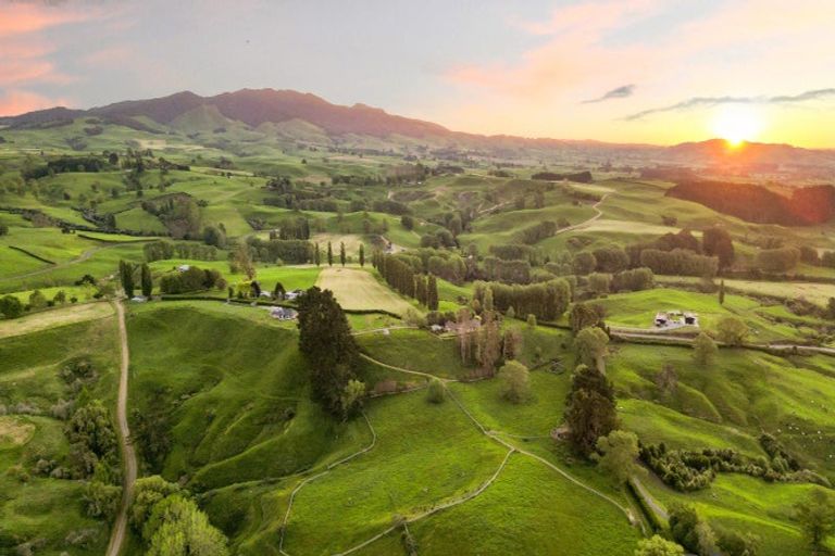 Photo of property in 278 Stokes Road, Maungatautari, Cambridge, 3494