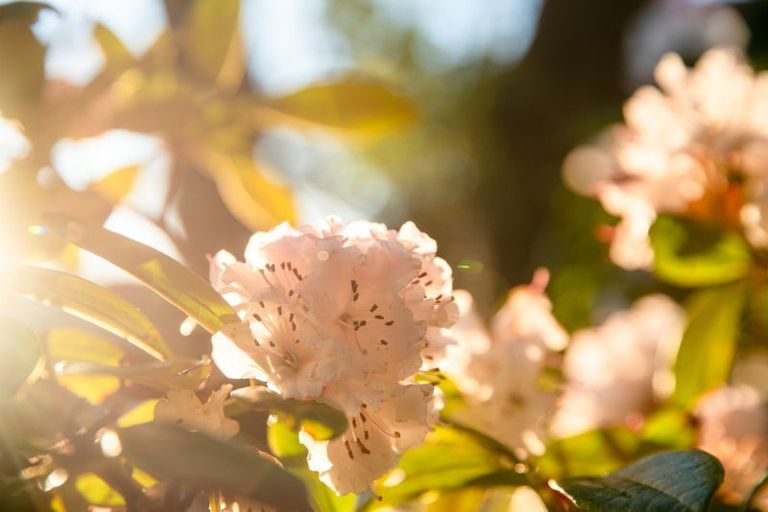 Photo of property in 49 Messines Road, Karori, Wellington, 6012