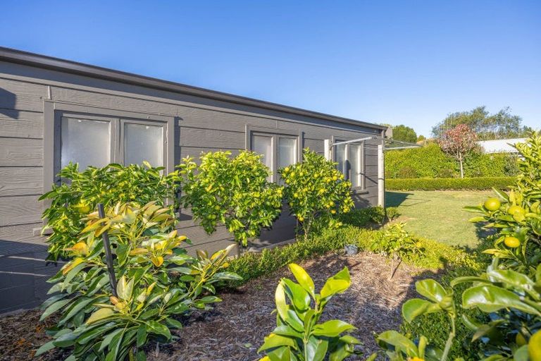Photo of property in 71 Saint Marys Avenue, Te Awamutu, 3800