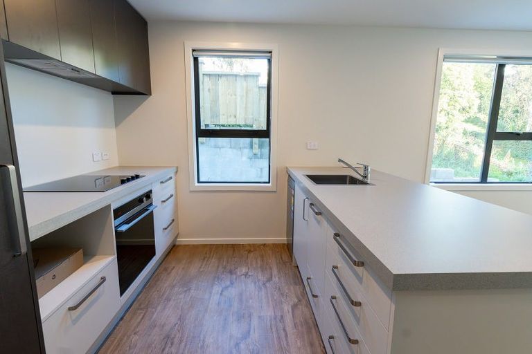 Photo of property in 16 Peter Street, Caversham, Dunedin, 9012