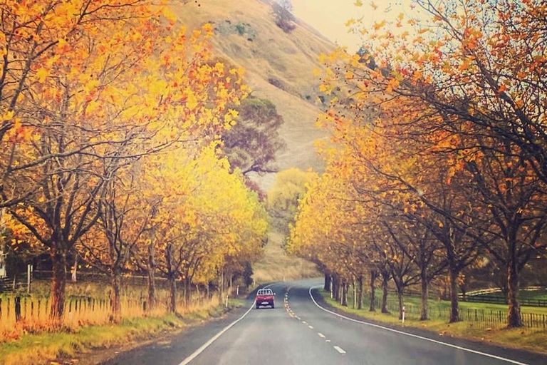 Photo of property in 399 Te Apiti Road, Waimarama, Havelock North, 4294