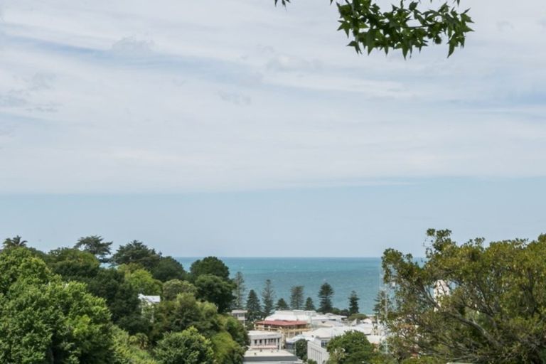 Photo of property in 21 Sealy Road, Bluff Hill, Napier, 4110