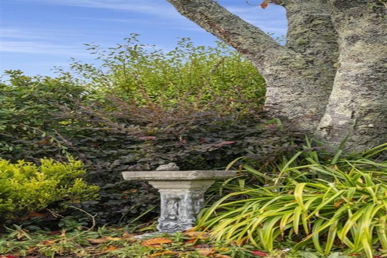 Photo of property in 128 Boucher Avenue, Te Puke, 3119