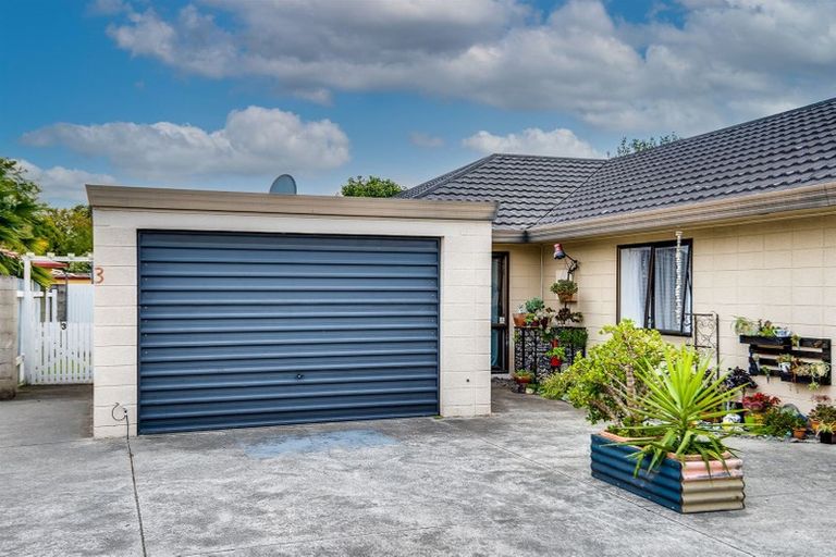 Photo of property in 3/78 King Street, Taradale, Napier, 4112