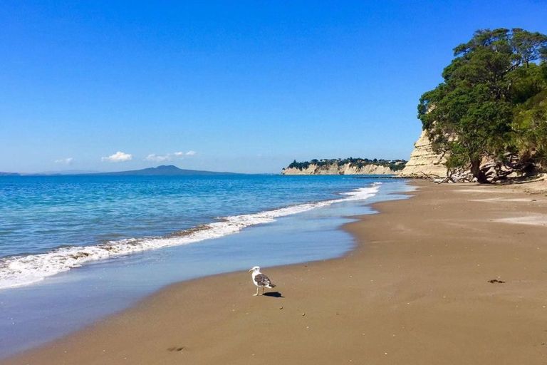 Photo of property in 202/167 Glenvar Ridge Road, Long Bay, Auckland, 0630