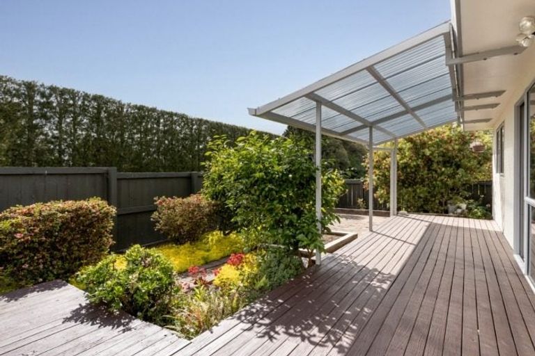 Photo of property in 9a Marshall Avenue, Greerton, Tauranga, 3112