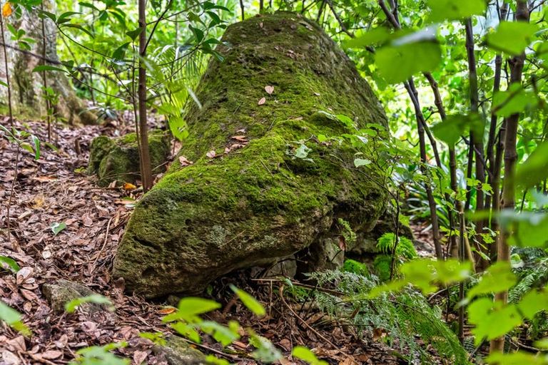 Photo of property in 120 Newton Road, Maungatapere, Whangarei, 0170