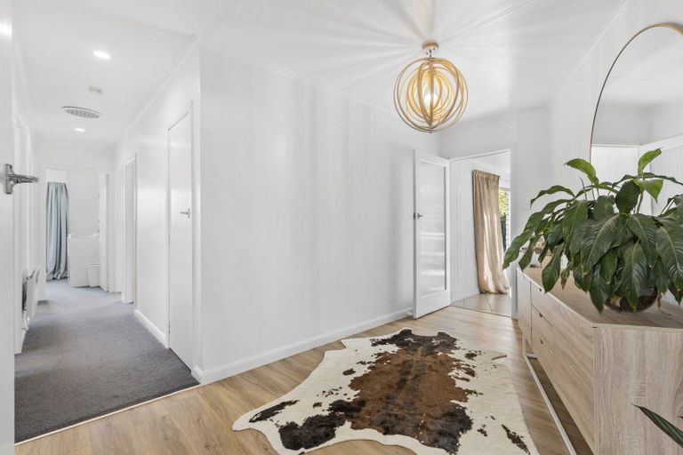 Photo of property in 282 Tremaine Avenue, Takaro, Palmerston North, 4412