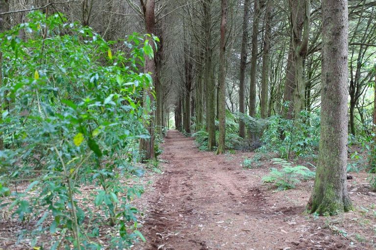 Photo of property in 1021 Paradise Valley Road, Ngongotaha Valley, Rotorua, 3072