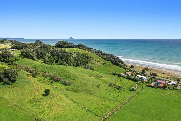 Photo of property in 59 Pohutukawa Drive, Waiotahe, Opotiki, 3198