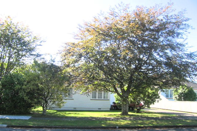 Photo of property in 21 Maher Street, Elderslea, Upper Hutt, 5018