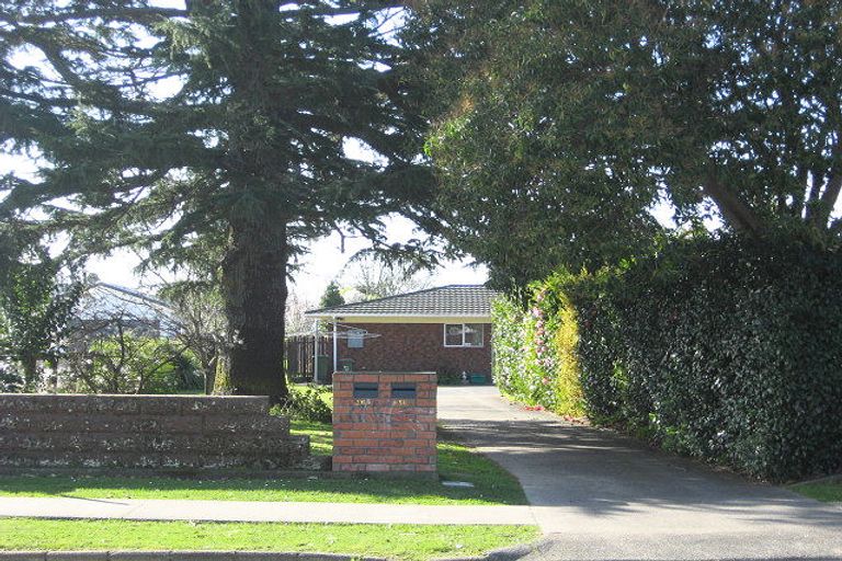 Photo of property in 56 Bridge Street, Whakatane, 3120