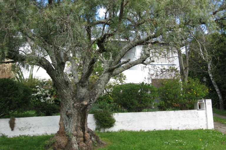 Photo of property in 93 Campbell Street, Nelson South, Nelson, 7010