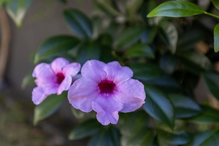 Photo of property in 7 Manhattan Court, Paraparaumu Beach, Paraparaumu, 5032