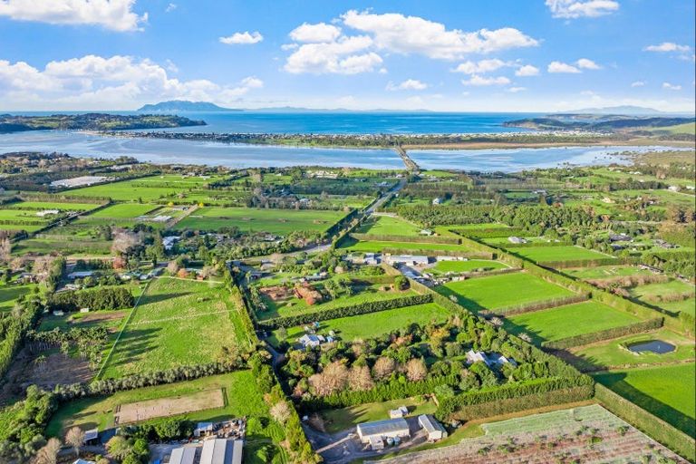 Photo of property in 242b Omaha Flats Road, Tawharanui Peninsula, 0986