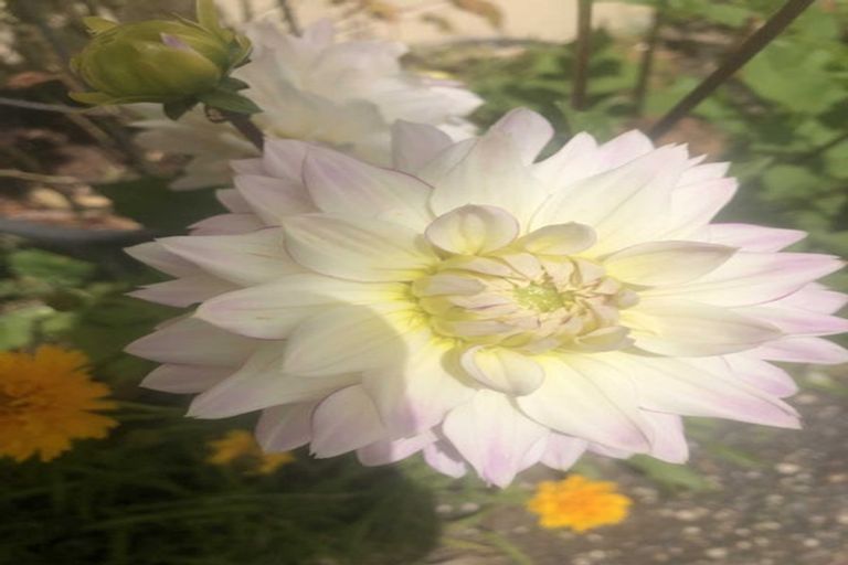 Photo of property in 2 Te Ara Karoiroa Road, Hurford, New Plymouth, 4374