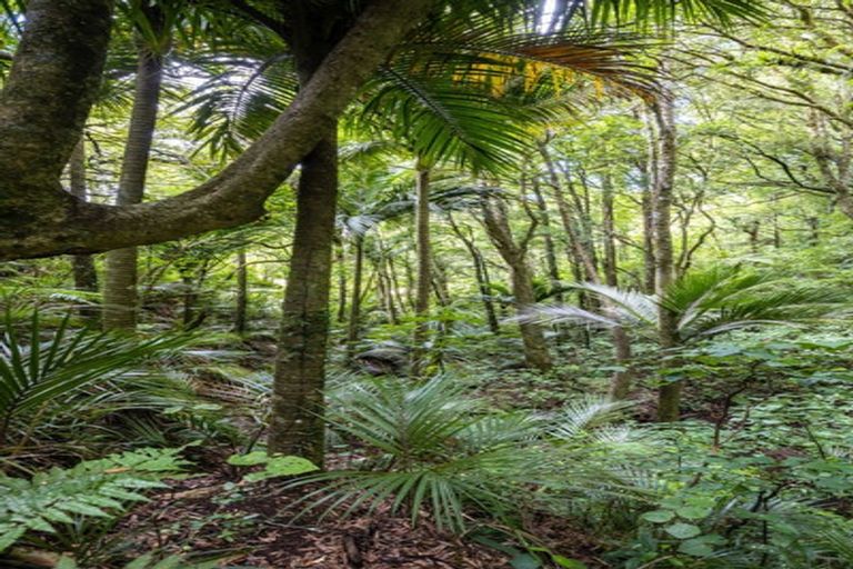 Photo of property in 531 Frankley Road, Hurworth, New Plymouth, 4371