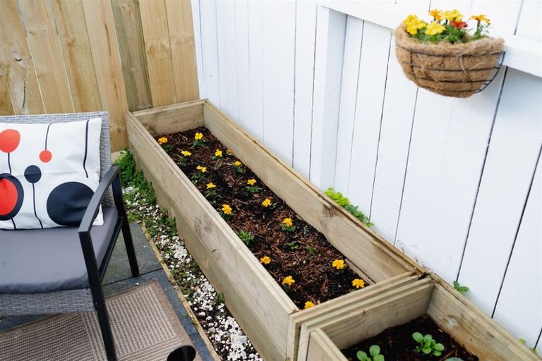 Photo of property in 30 Fingall Street, South Dunedin, Dunedin, 9012