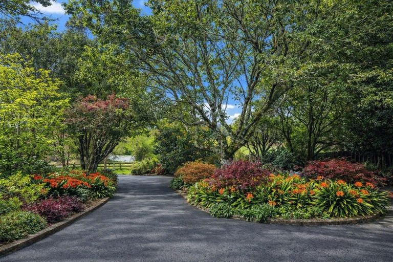 Photo of property in 807 Dairy Flat Highway, Dairy Flat, Albany, 0792