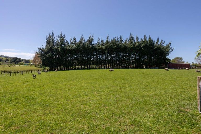 Photo of property in 239 Adelaide Road, Dannevirke, 4930