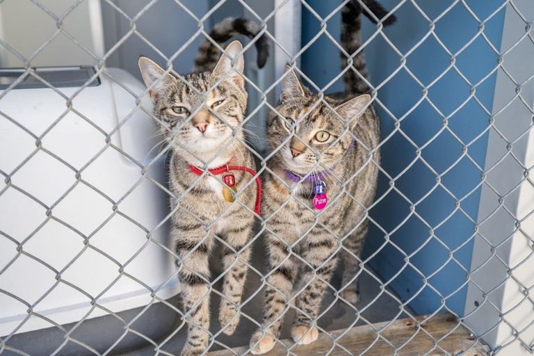 Photo of property in 138 White Road, Hope, Richmond, 7081