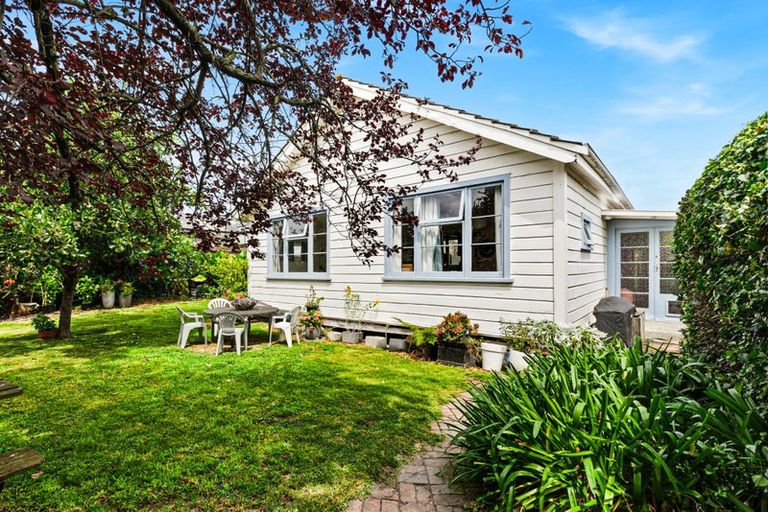 Photo of property in 10b Everest Avenue, Havelock North, 4130