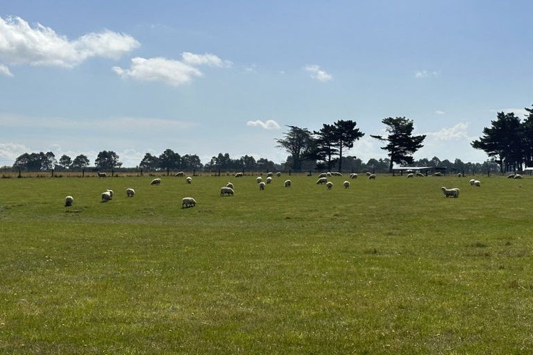 Photo of property in 750 Woodlands Invercargill Highway, Longbush, Invercargill, 9871