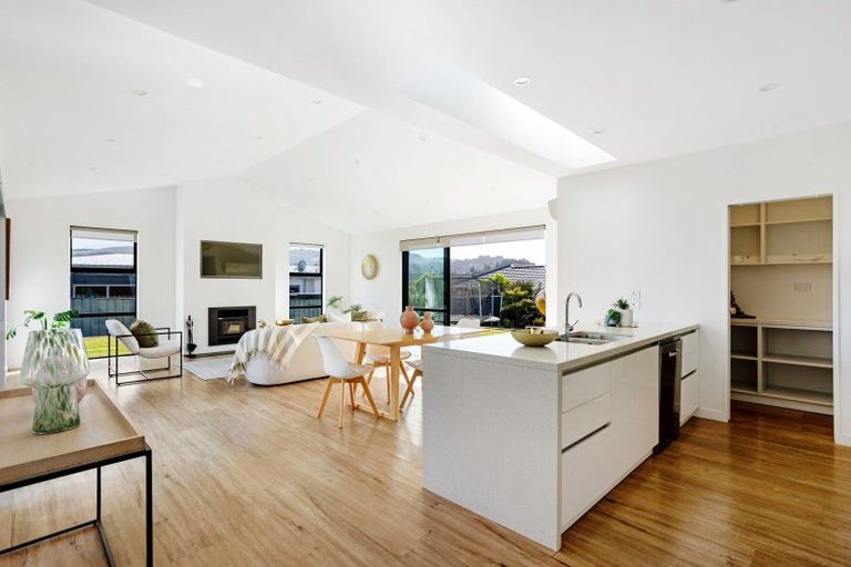 Photo of property in 29 Awa Toru Drive, Fairfield, Dunedin, 9018