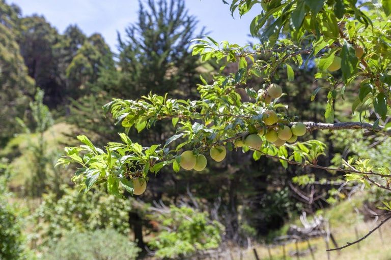 Photo of property in 105 Waterfall Road, Paraparaumu, 5032