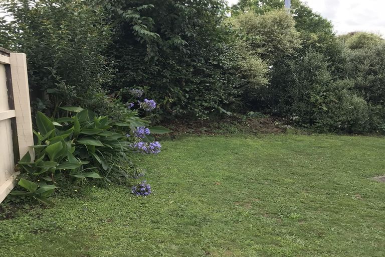 Photo of property in 11b Lorraine Place, Glenview, Hamilton, 3206