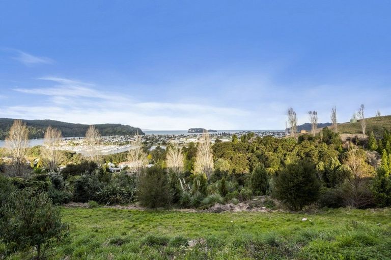 Photo of property in 113 Te Pamahue Drive, Whangamata, 3620