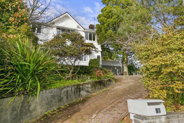 Photo of property in 83 Vivian Street, New Plymouth, 4310