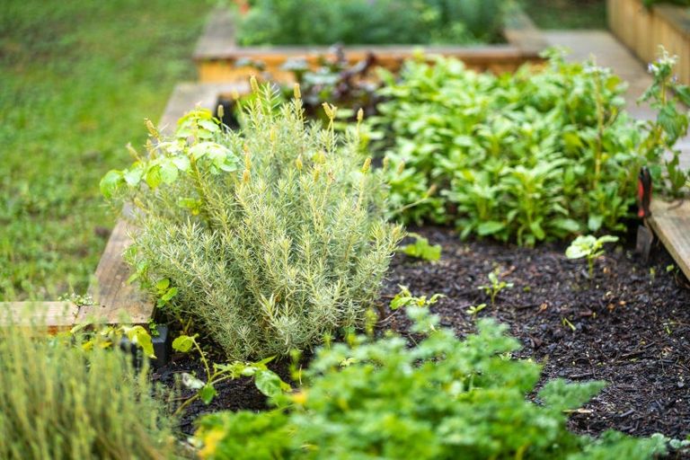 Photo of property in 1/121 Hataitai Road, Hataitai, Wellington, 6021