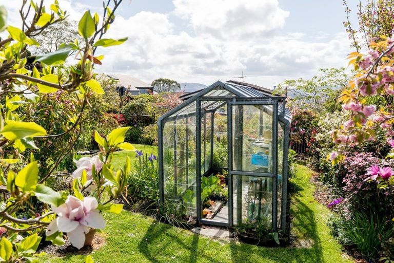 Photo of property in 59 Isadore Road, Saint Clair, Dunedin, 9012