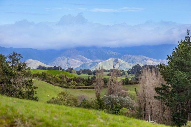 Photo of property in 48 Norsewood Ormondville Road, Norsewood, 4974