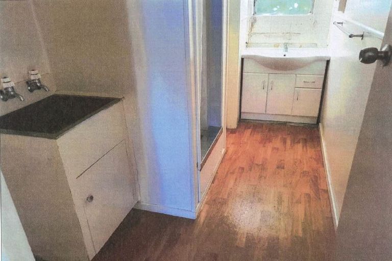 Photo of property in 29 Te Aroha Street, Hamilton East, Hamilton, 3216