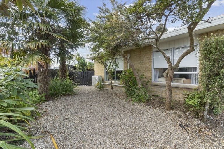 Photo of property in 91c Galloway Street, Hamilton East, Hamilton, 3216