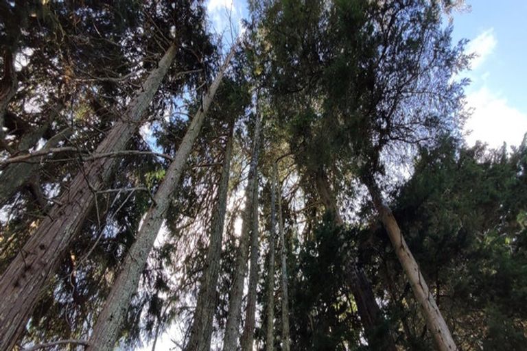 Photo of property in 1237 Waingaro Road, Glen Massey, Ngaruawahia, 3793