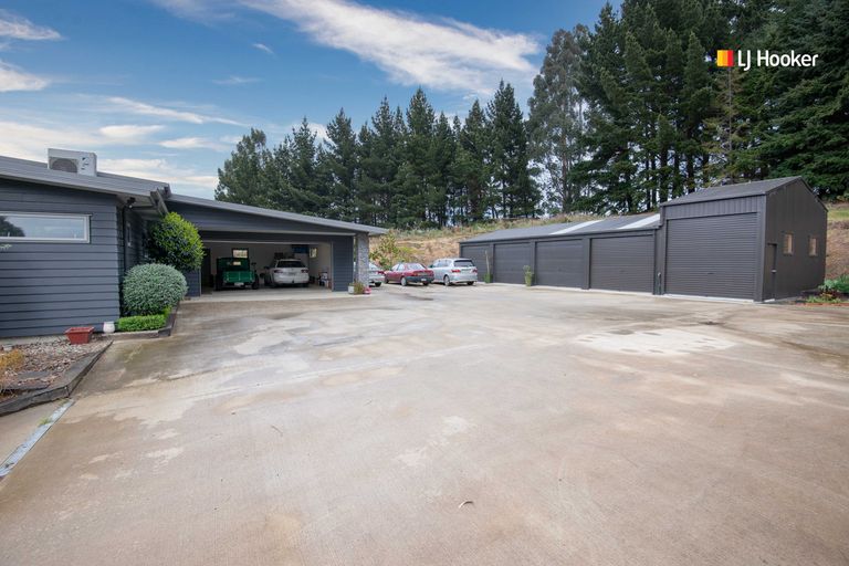 Photo of property in 49b Marshall Street, Bradford, Dunedin, 9011