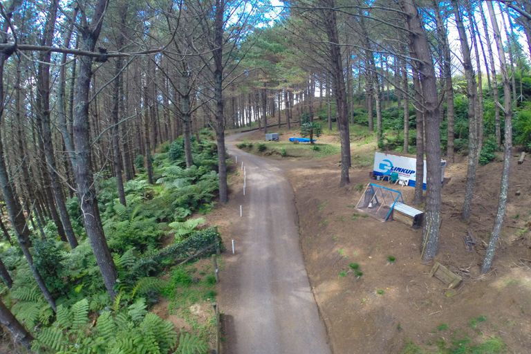 Photo of property in 72 Maungatawhiri Road, Raglan, 3295