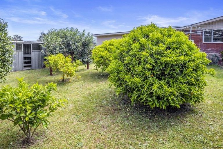 Photo of property in 30 Ruru Crescent, Putaruru, 3411