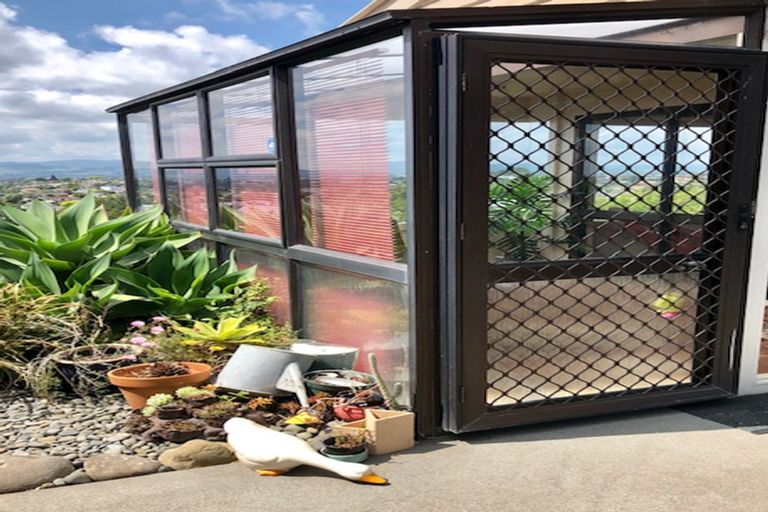 Photo of property in 16 Brookfield Terrace, Brookfield, Tauranga, 3110