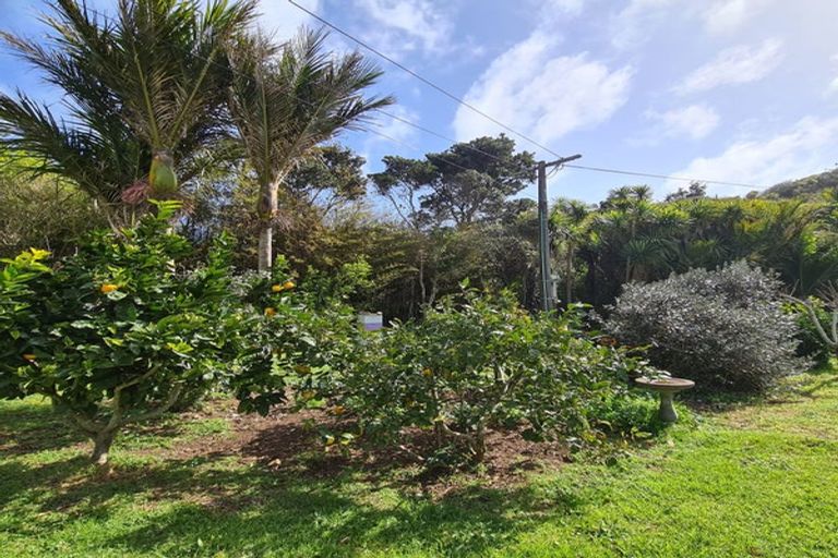 Photo of property in 10-12 Glenesk Road, Piha, New Lynn, 0772