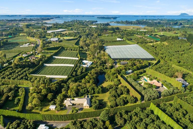 Photo of property in 56c Plummers Point Road, Whakamarama, Tauranga, 3172