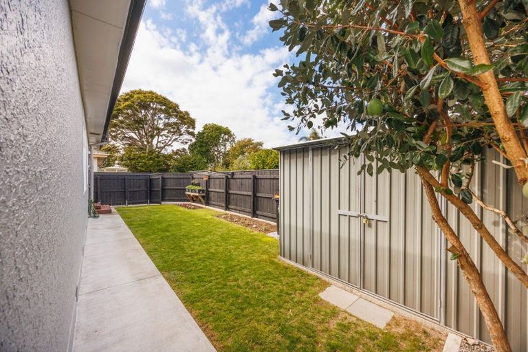 Photo of property in 77b Guy Avenue, Takaro, Palmerston North, 4410