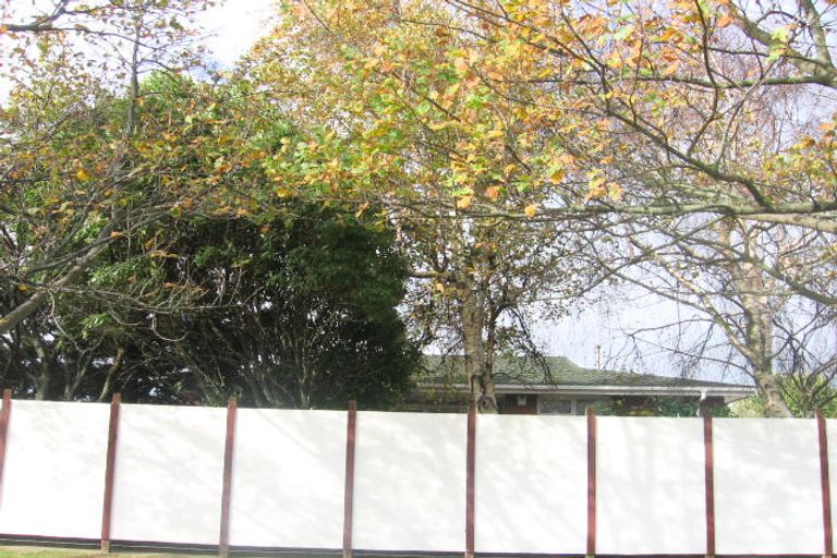 Photo of property in 19 Clarke Avenue, Highbury, Palmerston North, 4412