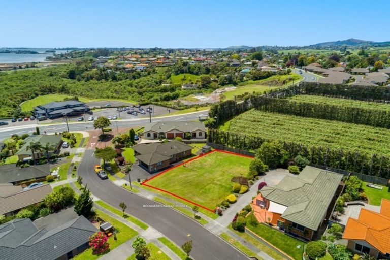 Photo of property in 7 Corwen Avenue, Hairini, Tauranga, 3112